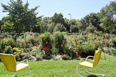 [Address not provided], Chicago, IL 60637 - Photo 33