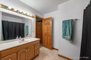 10118 Lund Ave, Algonquin, IL 60102 - Photo 17