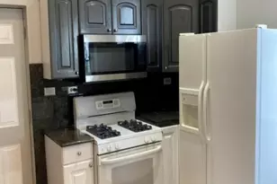 4321 S Ellis Ave, Chicago, IL 60653 - Photo 5