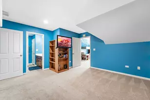 16519 S Fox Run Cir, Plainfield, IL 60586 - Photo 21