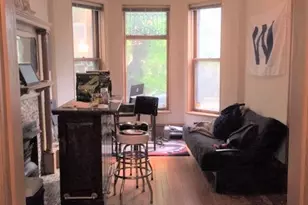 3218 N Seminary Ave, Chicago, IL 60657 - Photo 7