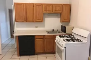3246 N Seminary Ave, Chicago, IL 60657 - Photo 9
