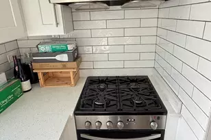 343 W 24th St, Chicago, IL 60616 - Photo 9