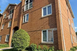 343 W 24th St, Chicago, IL 60616 - Photo 3