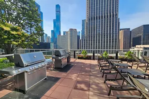 240 E Illinois St, Chicago, IL 60611 - Photo 31
