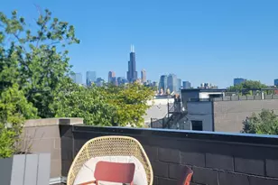 1018 N Wood St, Chicago, IL 60622 - Photo 21