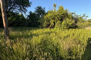 911 Safford Ave, Lake Bluff, IL 60044 - Photo 3