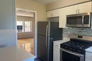 4825 Hull St, Skokie, IL 60077 - Photo 5
