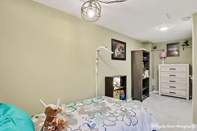 348 W. Oriole Trail, Cary, IL 60013 - Photo 19