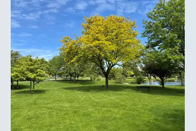 960 Alfini Drive, Des Plaines, IL 60016 - Photo 41