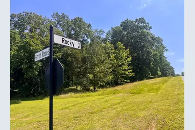 Lot 273 & 274 Rocky Point Road, Orangeville, IL 62939 - Photo 7