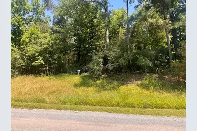 Lot 273 & 274 Rocky Point Road, Orangeville, IL 62939 - Photo 9