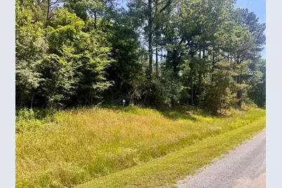 Lot 273 & 274 Rocky Point Road, Orangeville, IL 62939 - Photo 5