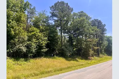 Lot 273 & 274 Rocky Point Road, Orangeville, IL 62939 - Photo 1