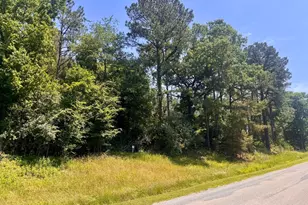 Lot 273 & 274 Rocky Point Rd, Orangeville, IL 62939 - Photo 1