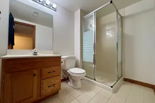 244 Knoll St, Wheaton, IL 60187 - Photo 21