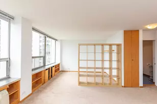1455 N Sandburg Terrace, Chicago, IL 60610 - Photo 3