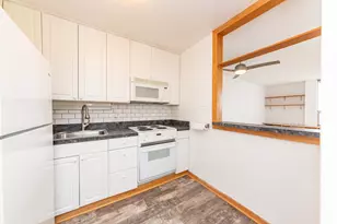 1455 N Sandburg Terrace, Chicago, IL 60610 - Photo 7