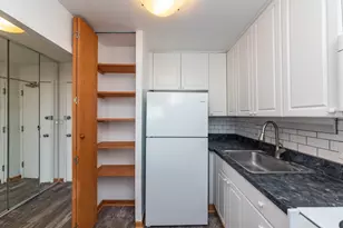 1455 N Sandburg Terrace, Chicago, IL 60610 - Photo 9