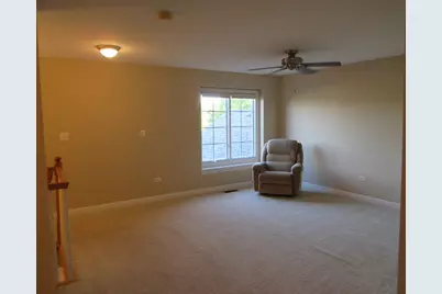 11934 Sterling Drive, Orland Park, IL 60467 - Photo 33