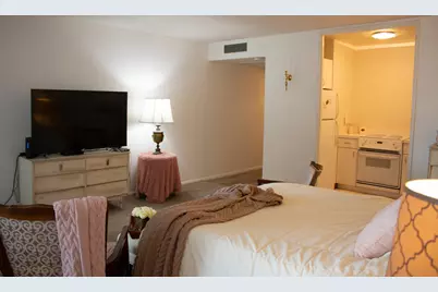 260 E Chestnut Street #409, Chicago, IL 60611 - Photo 3