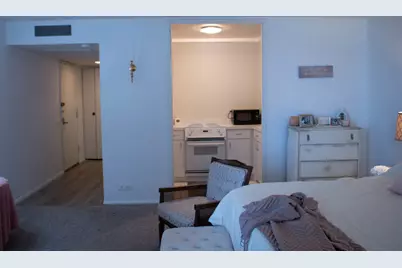 260 E Chestnut Street #409, Chicago, IL 60611 - Photo 5