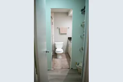 260 E Chestnut Street #409, Chicago, IL 60611 - Photo 9