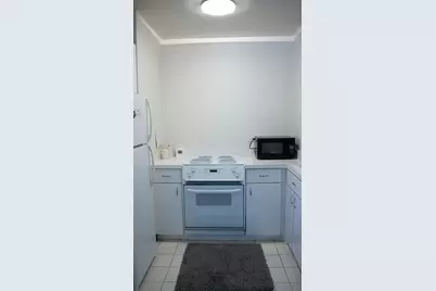 260 E Chestnut Street #409, Chicago, IL 60611 - Photo 7