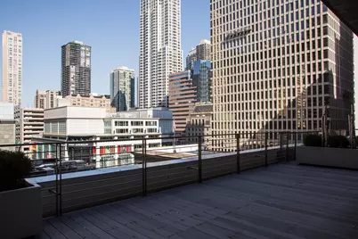 550 N St Clair Street #1204, Chicago, IL 60611 - Photo 31