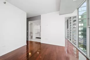550 N St Clair St, Chicago, IL 60611 - Photo 13