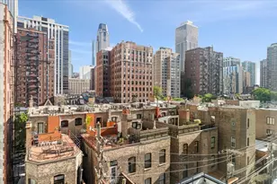1150 N Lake Shore Dr, Chicago, IL 60611 - Photo 27