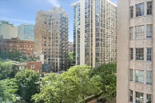 1150 N Lake Shore Dr, Chicago, IL 60611 - Photo 27