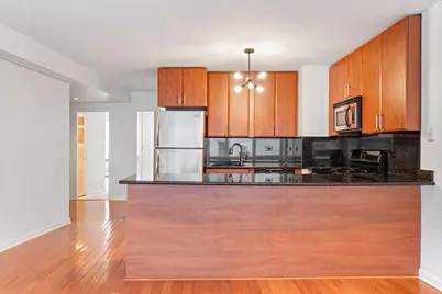 1150 N Lake Shore Drive #7H, Chicago, IL 60611 - Photo 13