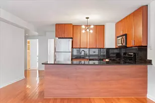 1150 N Lake Shore Dr, Chicago, IL 60611 - Photo 13
