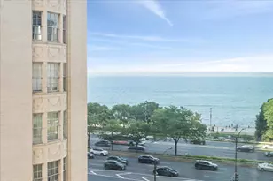 1150 N Lake Shore Dr, Chicago, IL 60611 - Photo 7