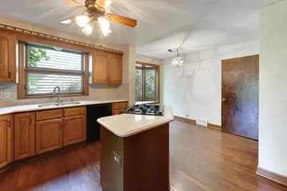 1216 S Lincoln Avenue, Park Ridge, IL 60068 - Photo 11