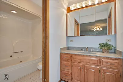 29285 S 80th Avenue, Peotone, IL 60468 - Photo 21