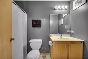 22897 Eastwind Dr, Richton Park, IL 60471 - Photo 19