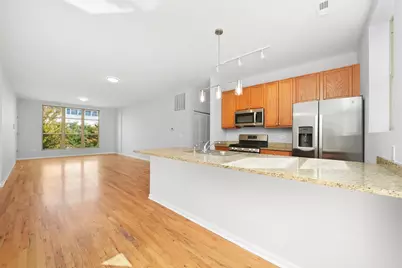 317 E 25th Street #3E, Chicago, IL 60616 - Photo 9