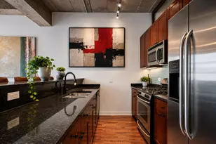 1150 W 15th St, Chicago, IL 60608 - Photo 7