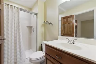 21250 S Redwood Ln, Shorewood, IL 60404 - Photo 31