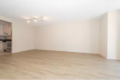 10 E Ontario Street #1203, Chicago, IL 60611 - Photo 29