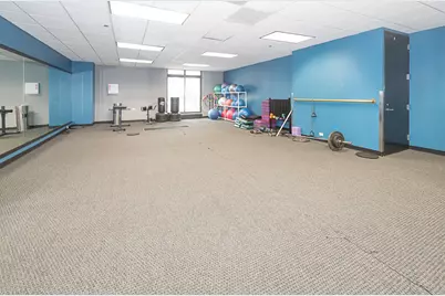 10 E Ontario Street #1203, Chicago, IL 60611 - Photo 19