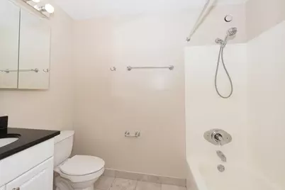 10 E Ontario Street #1203, Chicago, IL 60611 - Photo 9