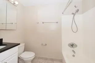 10 E Ontario St, Chicago, IL 60611 - Photo 9
