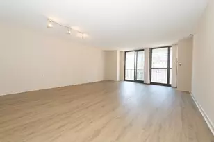 10 E Ontario St, Chicago, IL 60611 - Photo 5