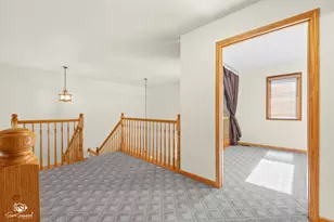 8740 Bally Castle Ln, Tinley Park, IL 60487 - Photo 19