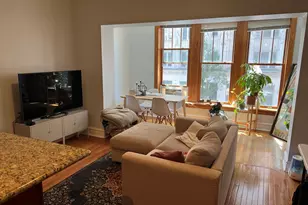1042 W Bryn Mawr Ave, Chicago, IL 60660 - Photo 3