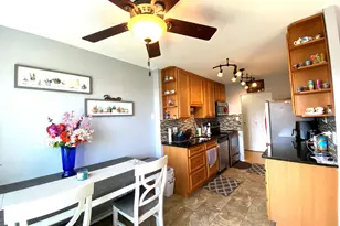 7033 N Kedzie Ave, Chicago, IL 60645 - Photo 9