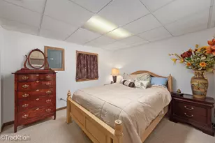 20838 W Peppertree Ct, Plainfield, IL 60544 - Photo 23